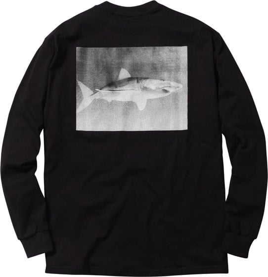 Shark L S Tee 1